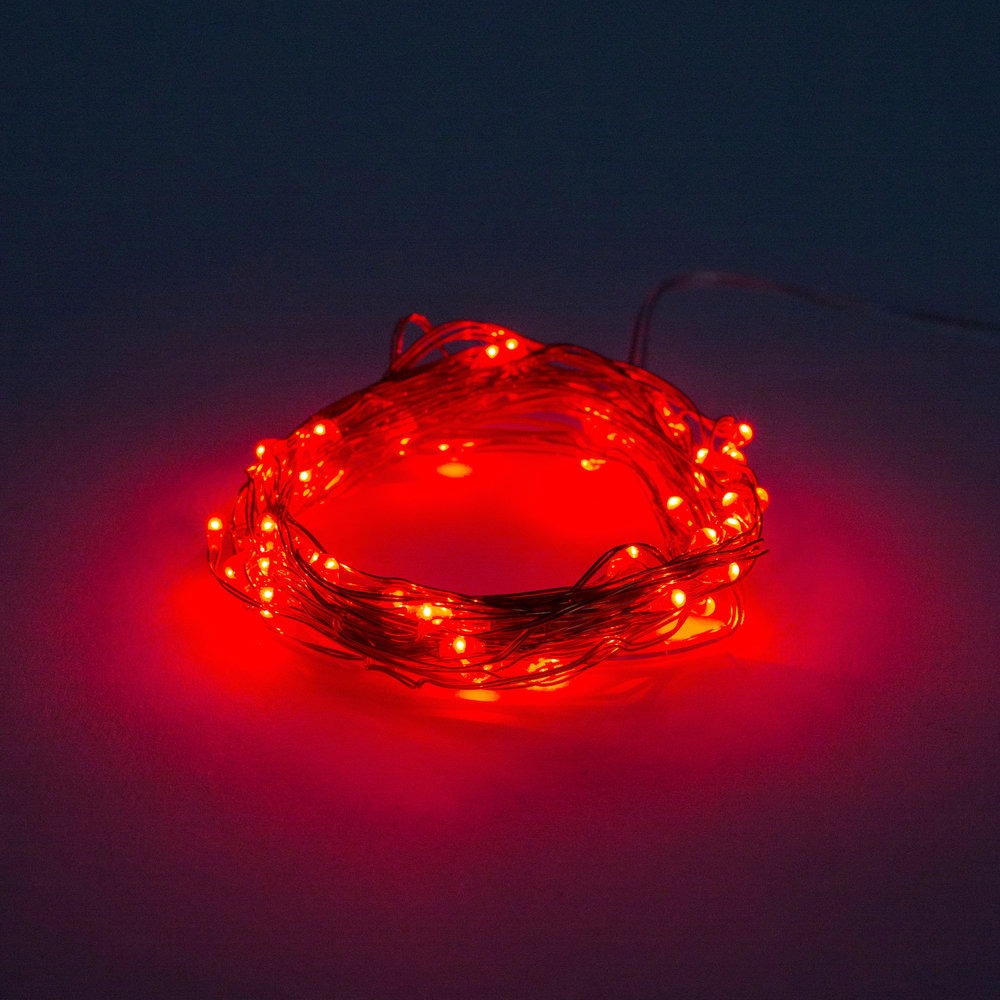 5M/16.9Ft 50 LEDs Clear Tube Copper Wire Battery Operated LED Fairy Rope Lights 