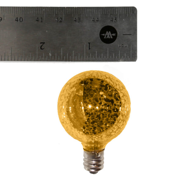 G50 Gold bulb and ruler