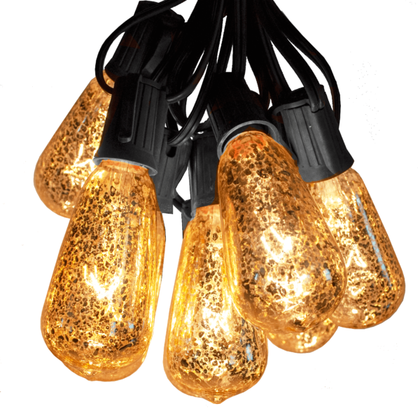 ST 40 Gold Bulbs on Black Wire